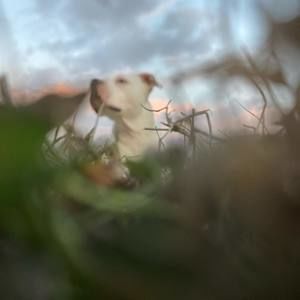 Meet your Posher, Bradley